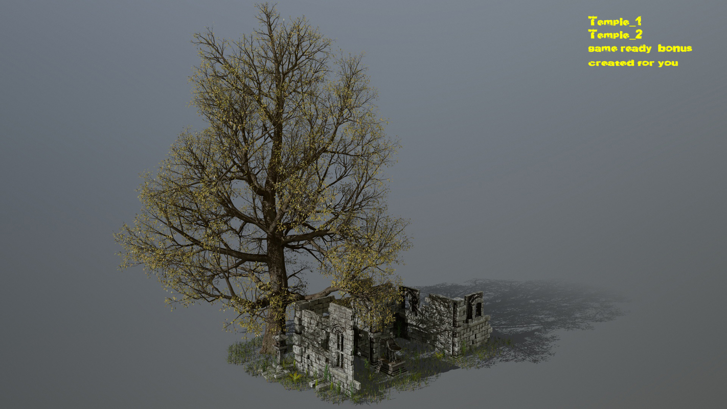 images/goods_img/202104094/ruin set 3D/3.jpg